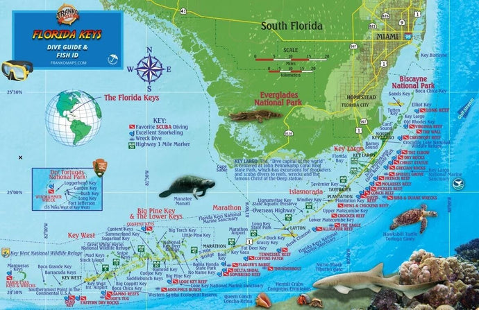 Florida Keys Fish Card